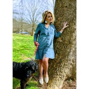 Drop Waist Dress (Color is like stock Photo)